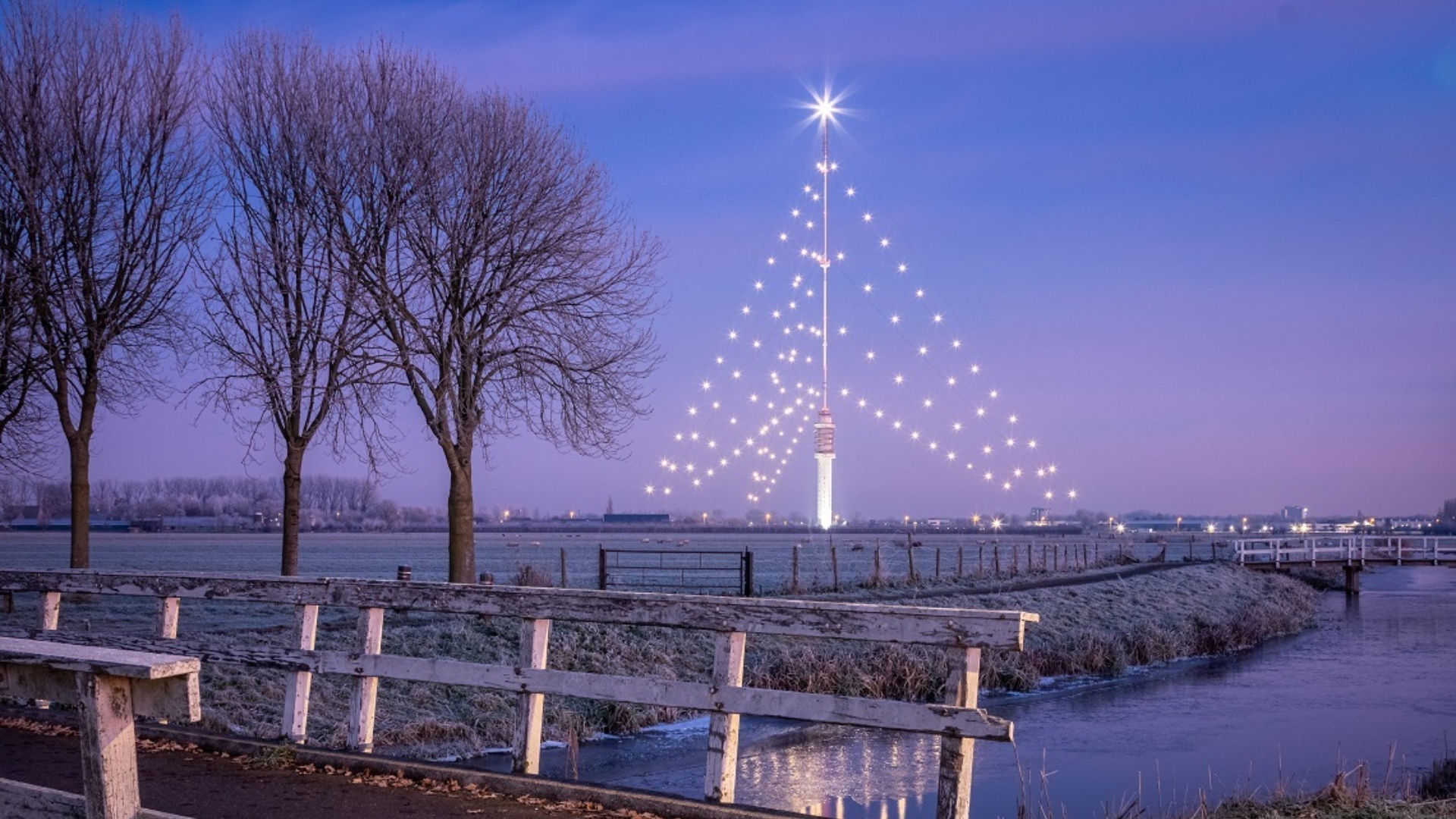 tweede-prijs-grootste-kerstboom-foto-jan-timmer-photography-lr.jpg